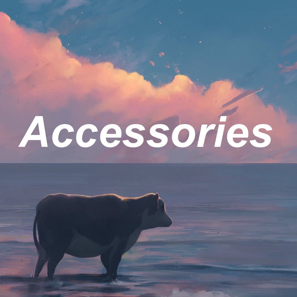 Accessories below 👜👒💍🧣